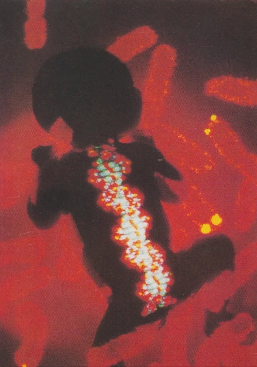 Les Jardins d’Eden — Montreuil, 2000 - Exposition collective